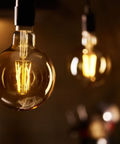 Global - 6w E27 Duylu, G95 - Yuvarlak Orta Boy Led Glop Tipi Rustik Ampul - Şeffaf Camlı - Beyaz Işık