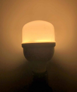 Global - 60w - E27 Duylu, Torch, Büyük Pazarcı Ampülü - Gün Işığı