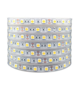 Global - 12v - 10 Çipli, 5050, Metrede 60 Ledli Dış Mekan Silikonlu Şerit Led - Rgb (5 Metre)